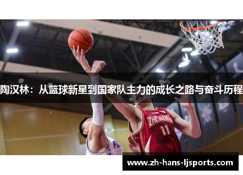 陶汉林：从篮球新星到国家队主力的成长之路与奋斗历程